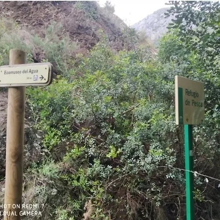 Sierra De Cadiz 公寓 *